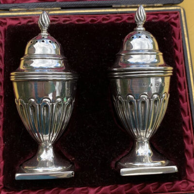 Pair of Solid Silver Boxed Pepperettes